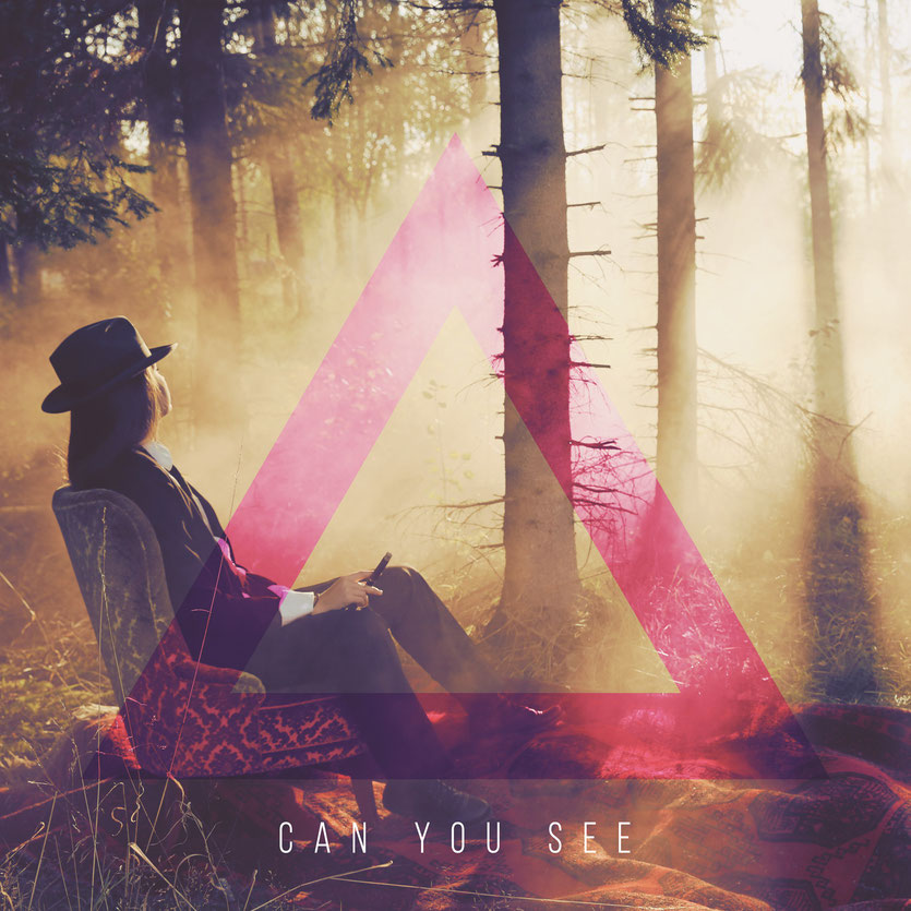 i-don-t-speak-french-can-you-see