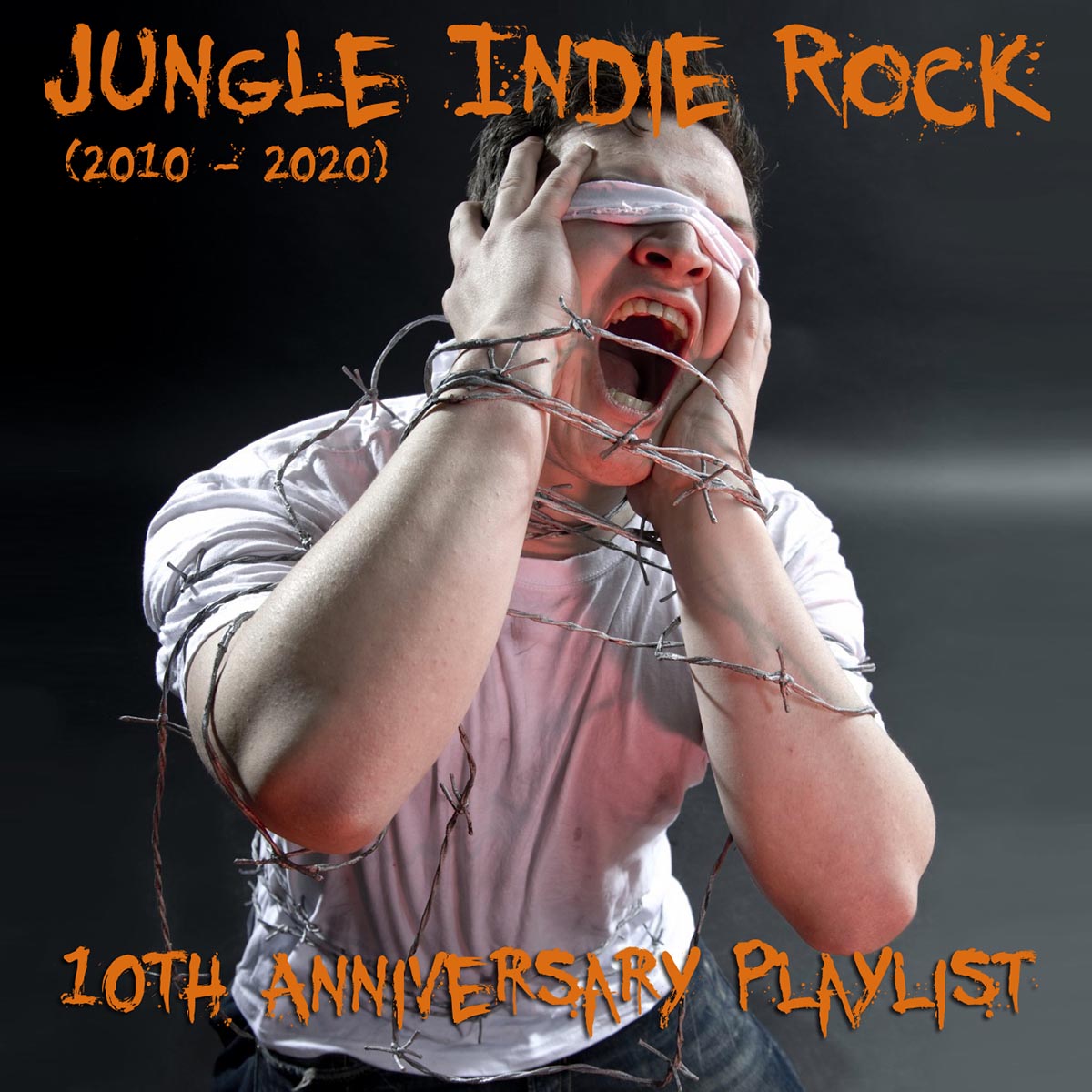 Raw Critters Music 10th Anniversary Playlist