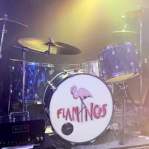  Flamingos Videos