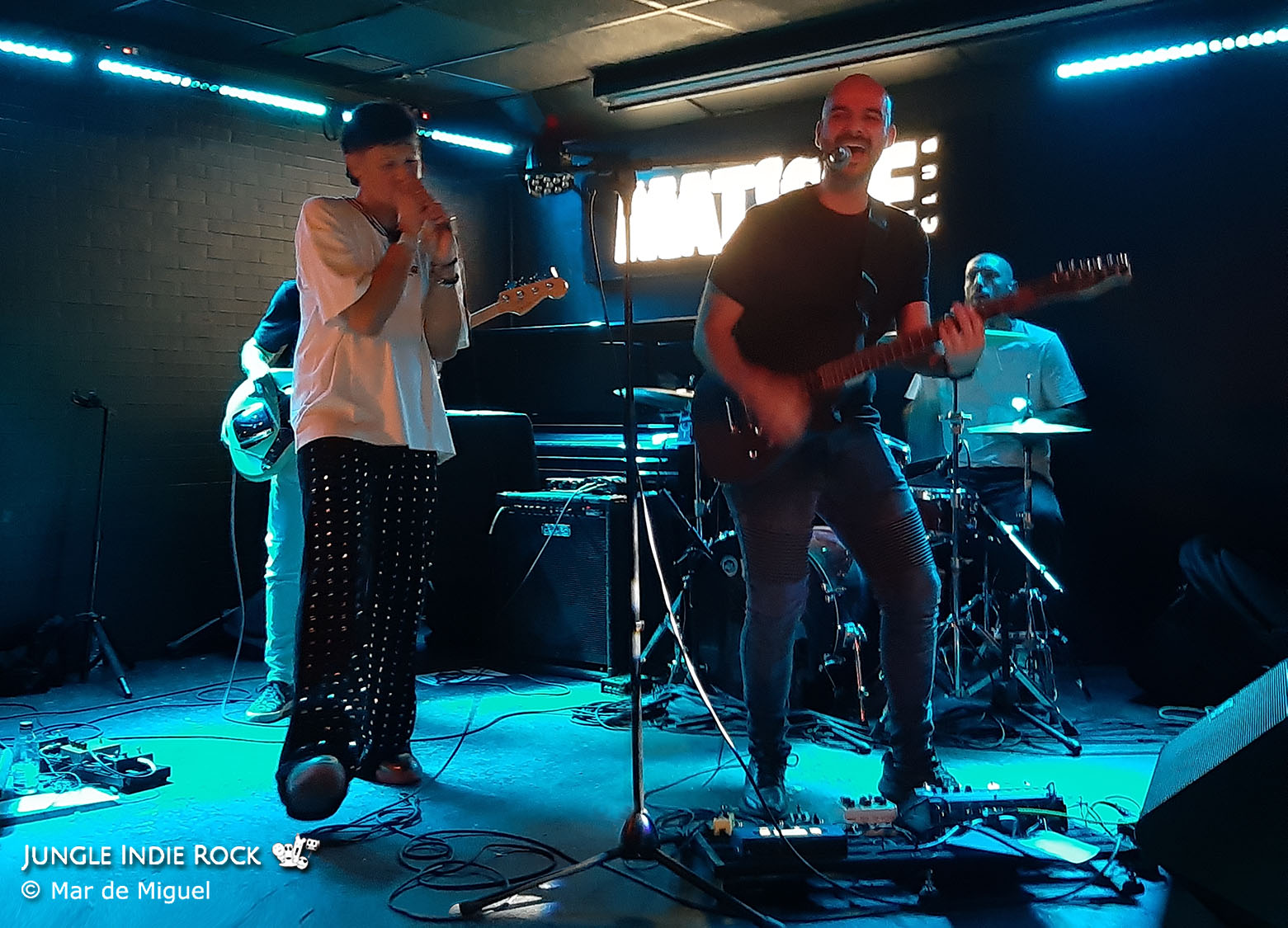 SIX to FIX - The Critters Acts Tour