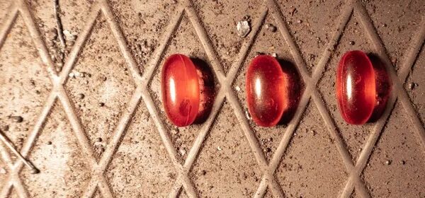 Marc Aliana - El Último Jardín