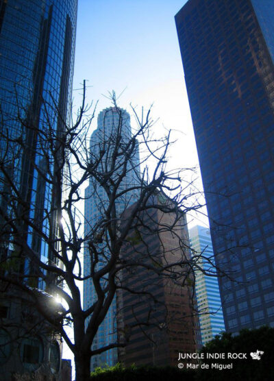 Ryan Adams - Walt Disney Concert Hall