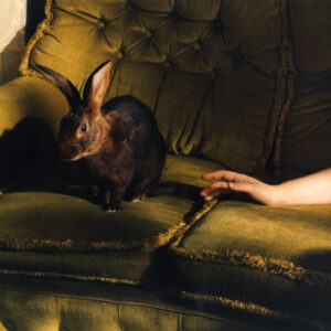 08 Florence Road – Storm Warnings Florence Road – Storm Warnings